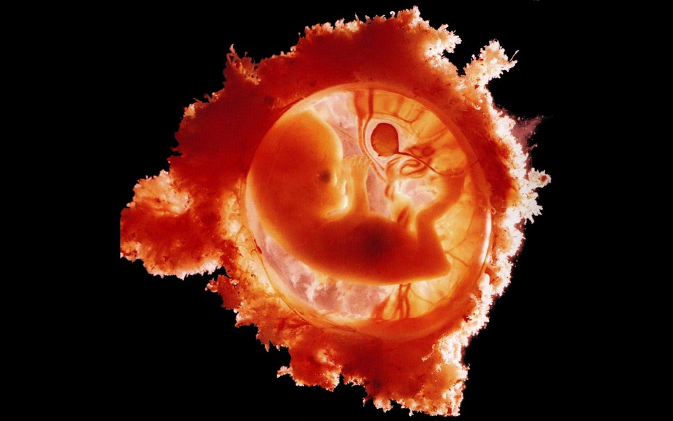 La conception du fœtus et le destin