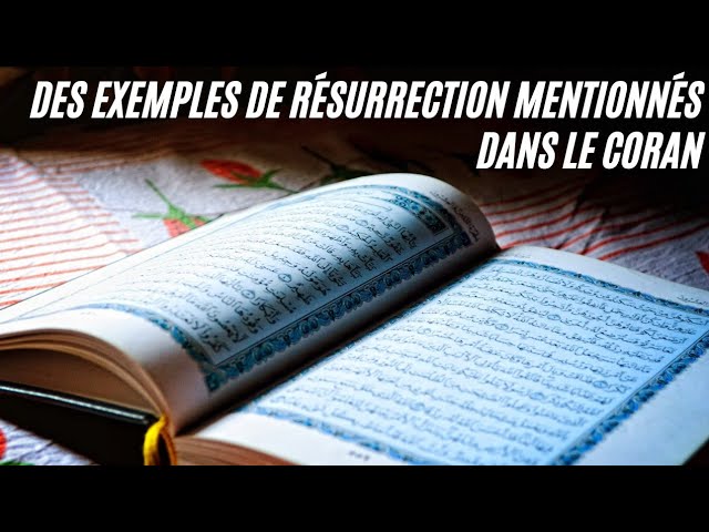 Des exemples de Résurrection mentionnés dans le Coran